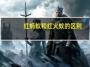 红蚂蚁和红火蚁的区别