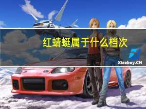 红蜻蜓属于什么档次