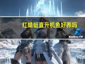 红蜻蜓直升机鱼好养吗