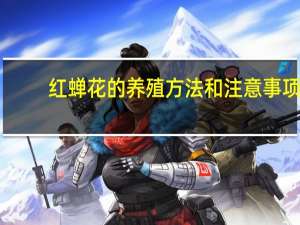 红蝉花的养殖方法和注意事项