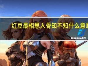 红豆最相思入骨知不知什么意思