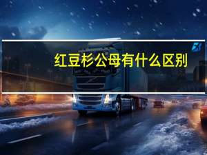 红豆杉公母有什么区别