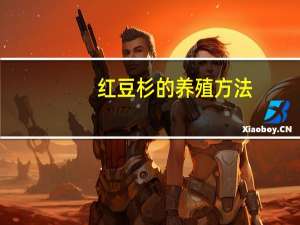 红豆杉的养殖方法（经验篇）