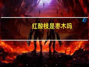 红酸枝是枣木吗