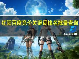 红阳百度竞价关键词排名批量查询工具 1.0 官方安装版（红阳百度竞价关键词排名批量查询工具 1.0 官方安装版功能简介）