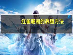 红雀珊瑚的养殖方法：习性怕风怕湿