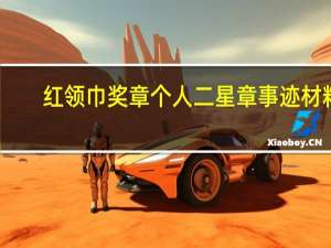 红领巾奖章个人二星章事迹材料
