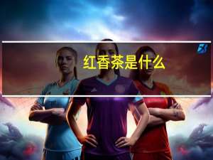 红香茶是什么