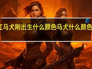 红马犬刚出生什么颜色 马犬什么颜色最正宗