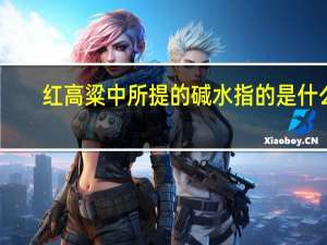 红高粱中所提的碱水指的是什么
