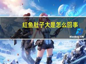红鱼肚子大是怎么回事（红鱼肚）