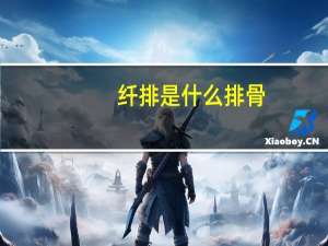 纤排是什么排骨