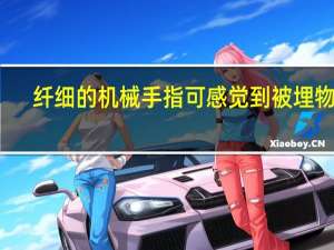 纤细的机械手指可感觉到被埋物品