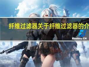纤维过滤器 关于纤维过滤器的介绍