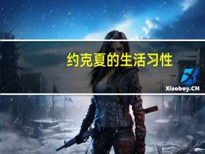 约克夏的生活习性