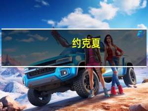 约克夏（关于约克夏的介绍）