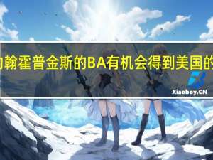 约翰霍普金斯的BA有机会得到美国的工作吗