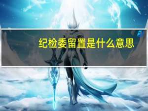 纪检委留置是什么意思