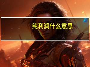 纯利润什么意思