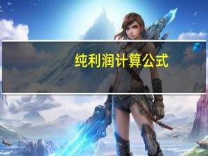 纯利润计算公式