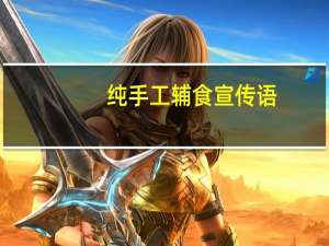 纯手工辅食宣传语