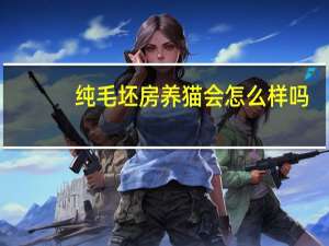 纯毛坯房养猫会怎么样吗