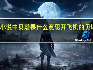 纯爱小说中贝塔是什么意思 开飞机的贝塔是什么梗