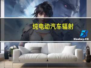 纯电动汽车辐射