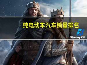 纯电动车汽车销量排名