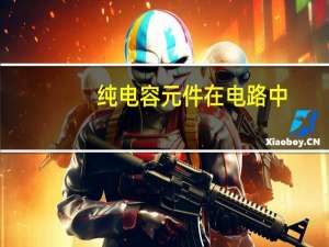纯电容元件在电路中()