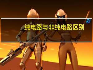 纯电路与非纯电路区别