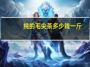 纯的毛尖茶多少钱一斤