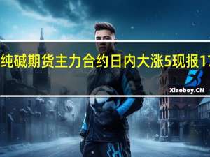 纯碱期货主力合约日内大涨5%现报1771元/吨