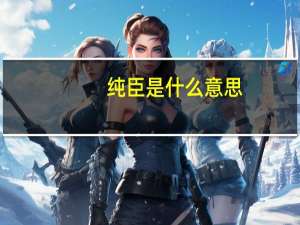 纯臣是什么意思