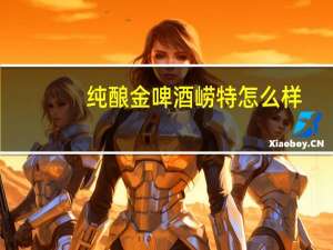 纯酿金啤酒崂特怎么样