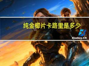 纯金 椰片卡路里是多少