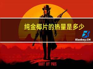 纯金 椰片的热量是多少