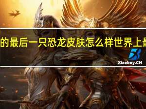 纳尔的最后一只恐龙皮肤怎么样 世界上最后一只龙