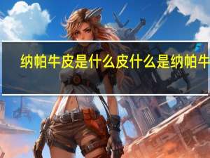 纳帕牛皮是什么皮 什么是纳帕牛皮