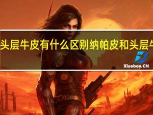纳帕皮和头层牛皮有什么区别 纳帕皮和头层牛皮区别是什么