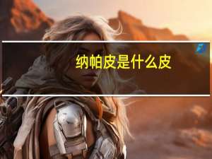 纳帕皮是什么皮