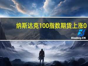 纳斯达克100指数期货上涨0.5标普500指数期货上涨0.3