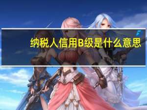 纳税人信用B级是什么意思