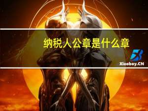 纳税人公章是什么章