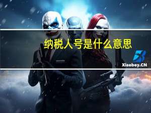 纳税人号是什么意思