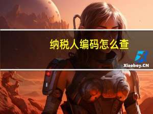 纳税人编码怎么查