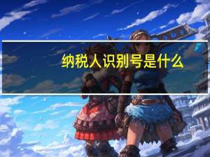 纳税人识别号是什么_