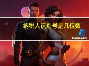 纳税人识别号是几位数