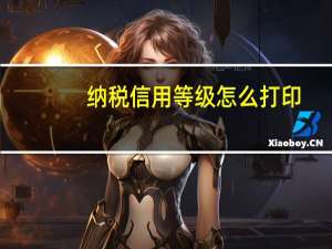 纳税信用等级怎么打印
