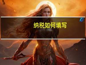 纳税如何填写